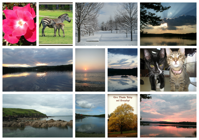 Looking Inward with Lily 2012