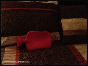 The hot water bottle 1