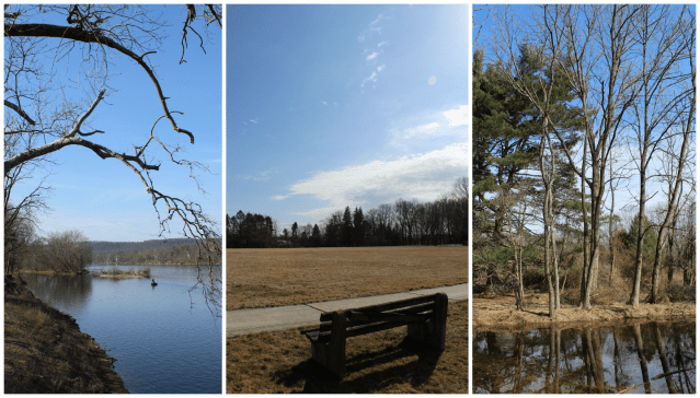 Nature's Seat - Blog March