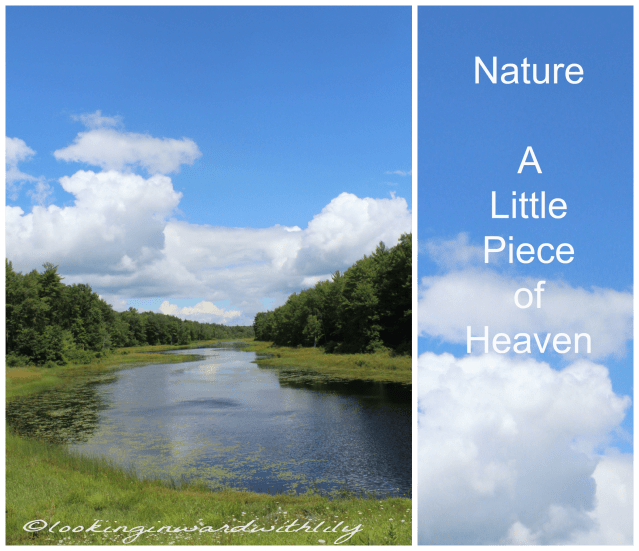 Nature - A little piece of heaven