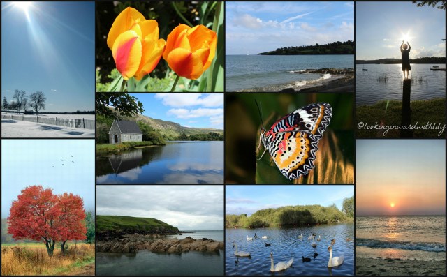 A One Year Anniversary Blog Collage for Looking Inward with Lily